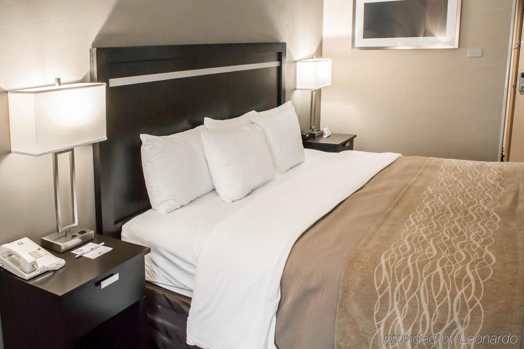 Holiday Inn Express & Suites - Albany Airport - Wolf Road By Ihg Екстер'єр фото